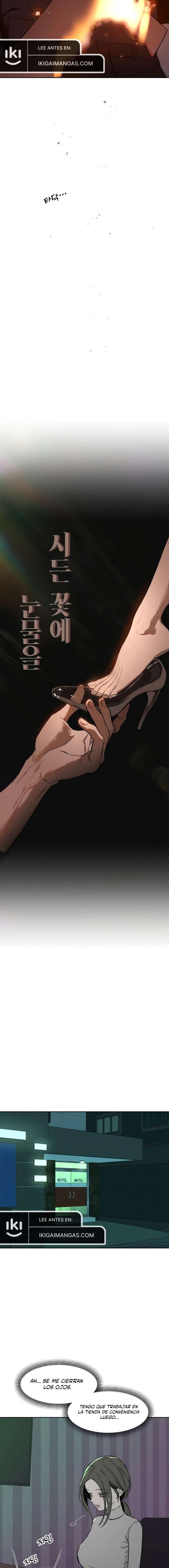 Lágrimas En Las Flores Marchitas Capítulo 10 - Page 16