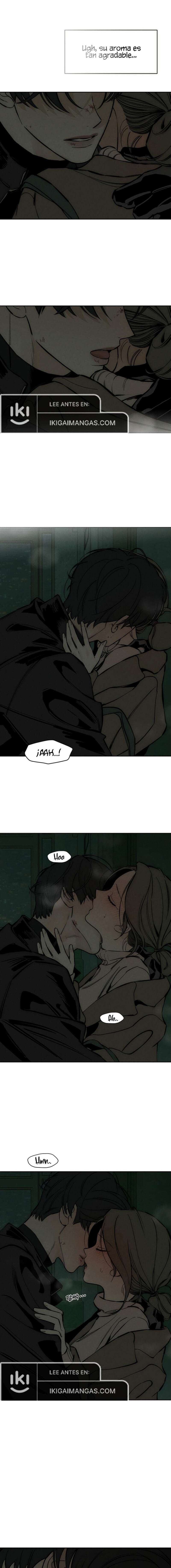 Lágrimas En Las Flores Marchitas Capítulo 43 - Page 13