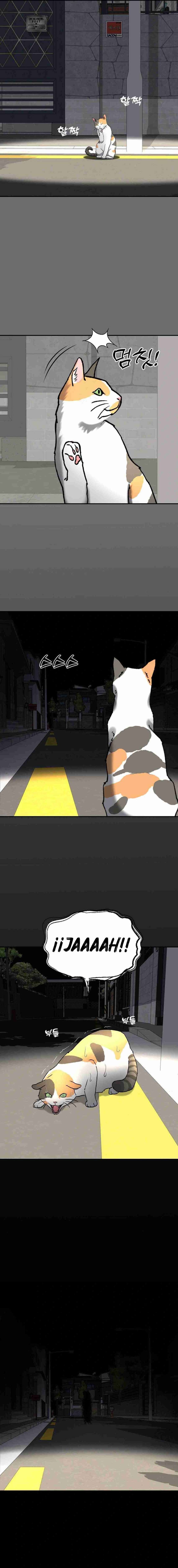 Las cosas quiero hacer antes de morir Capítulo 36 - Page 22