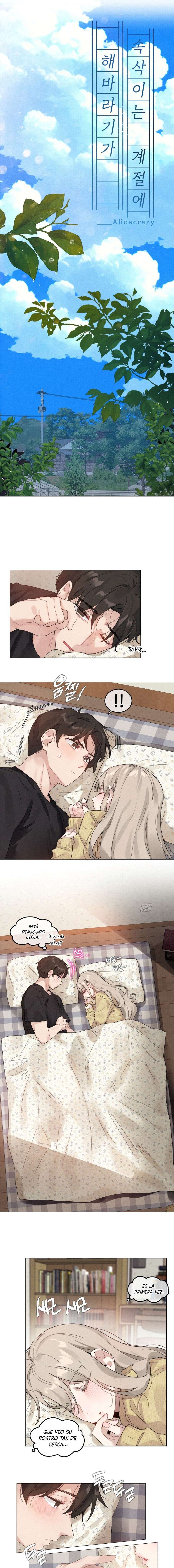 En la estación en que los girasoles susurran Capítulo 6 - Page 3