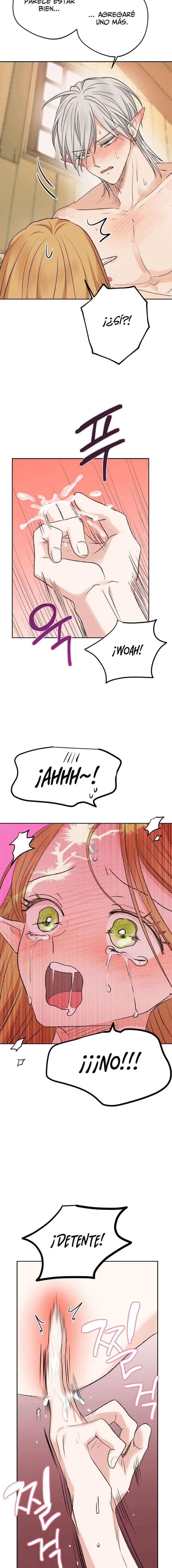 Apareamiento De Elfos Capítulo 12 - Page 17