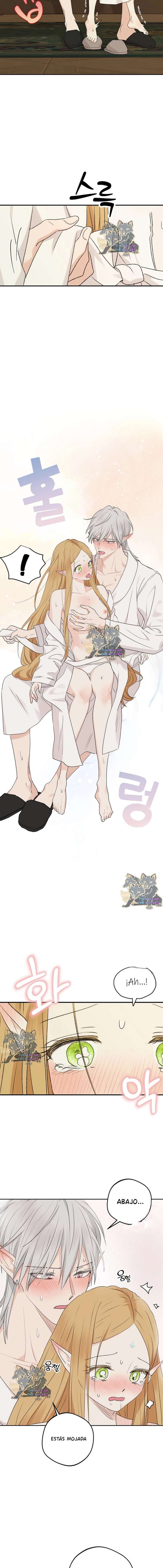 Apareamiento De Elfos Capítulo 35 - Page 12