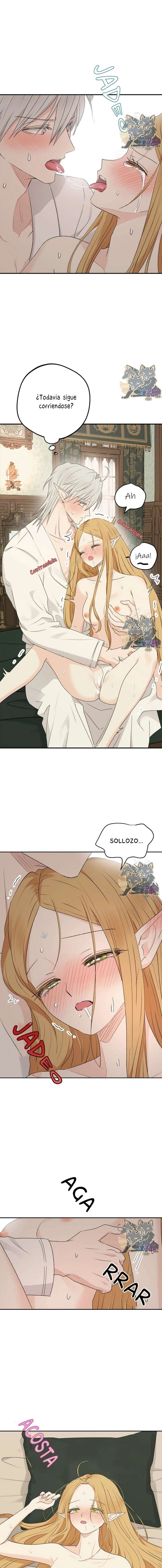 Apareamiento De Elfos Capítulo 36 - Page 2