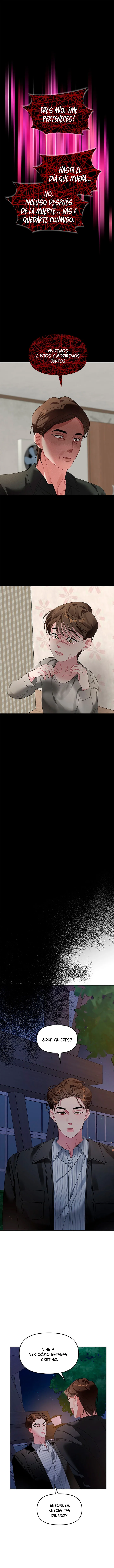 La flor que floreció en la pared Capítulo 13 - Page 5