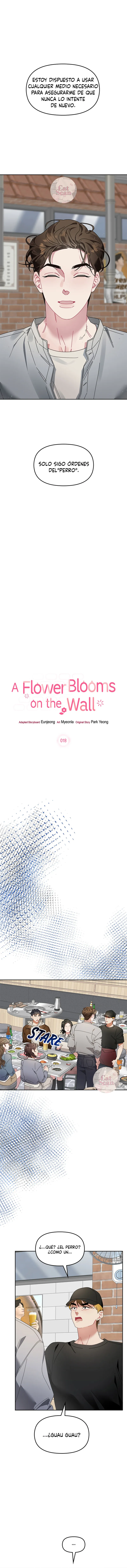 La flor que floreció en la pared Capítulo 18 - Page 1