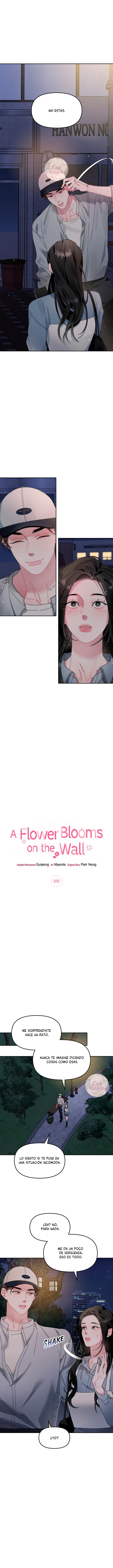 La flor que floreció en la pared Capítulo 19 - Page 5