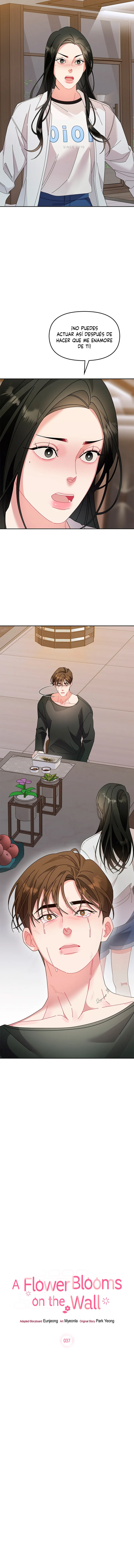 La flor que floreció en la pared Capítulo 37 - Page 11
