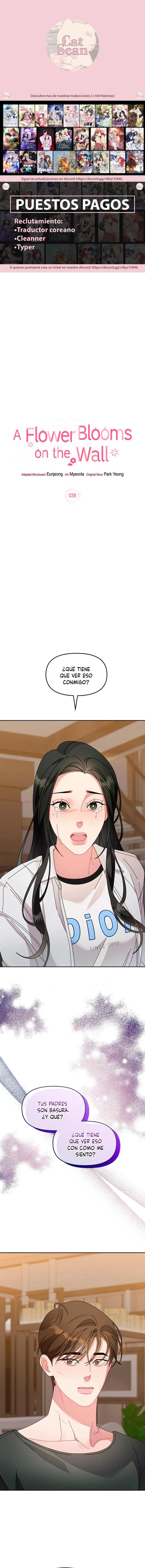 La flor que floreció en la pared Capítulo 38 - Page 1