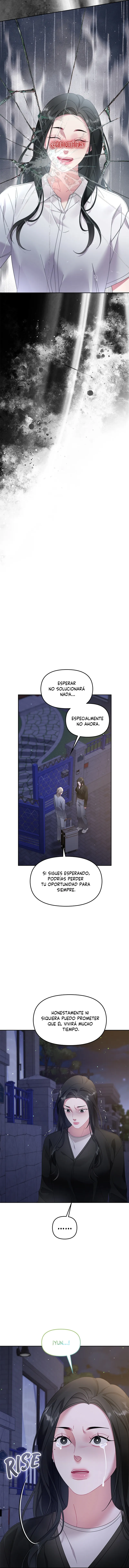 La flor que floreció en la pared Capítulo 47 - Page 16