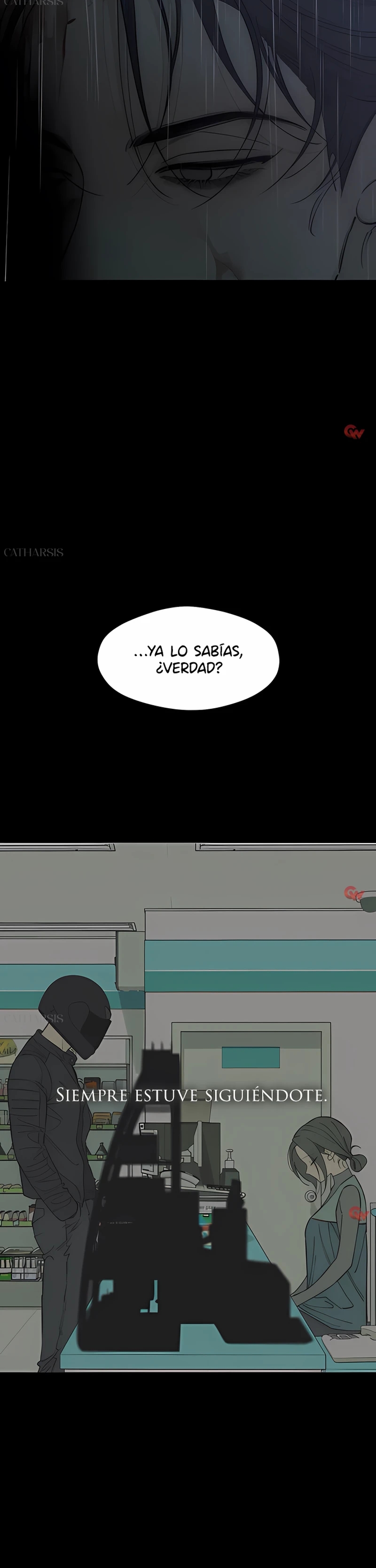 Lágrimas En Las Flores Marchitas Capítulo 88 - Page 47