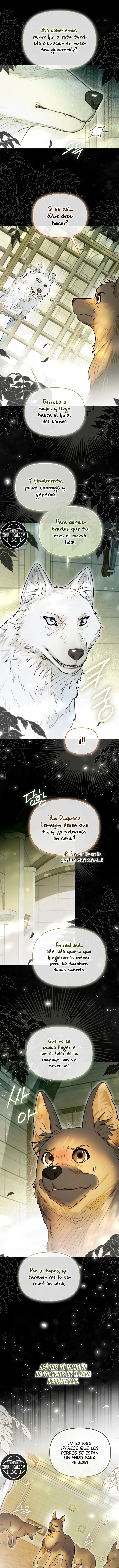 ¿Si Reencarné Como Villana Por Qué Me Convertí En Una Mayordomo De Gatos? Capítulo 89 - Page 14