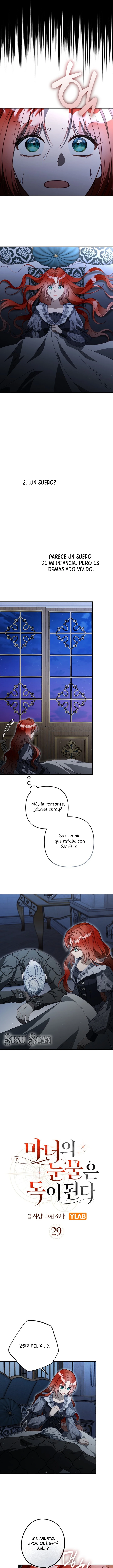 Las lágrimas de la bruja se convierten en veneno Capítulo 29 - Page 5