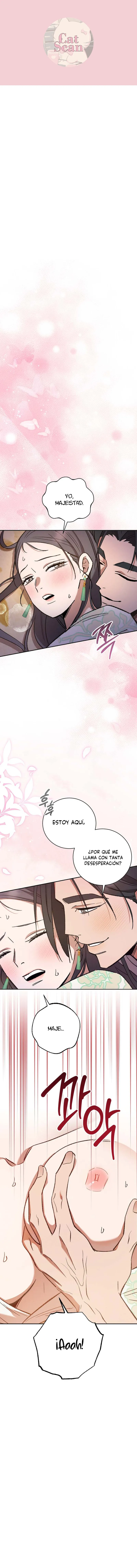 Devoción Absoluta Capítulo 13 - Page 1