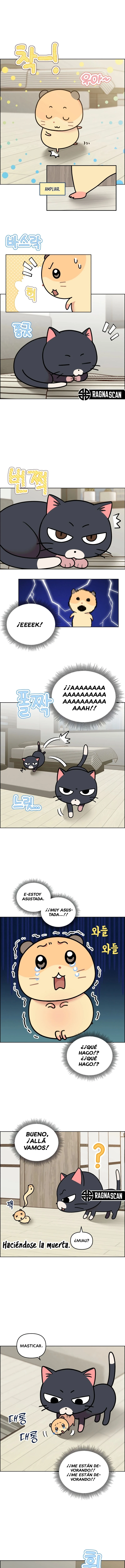 ¡Meow Meow! ¡Squeak Squeak! Capítulo 50 - Page 5