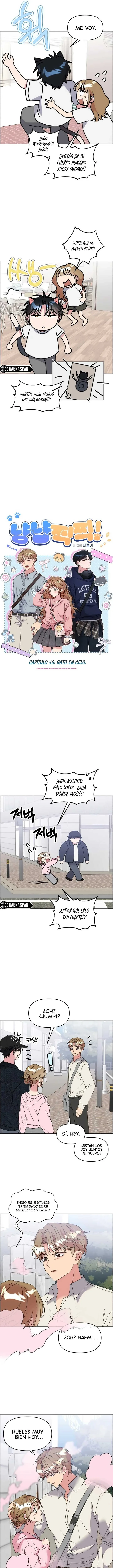 ¡Meow Meow! ¡Squeak Squeak! Capítulo 56 - Page 4