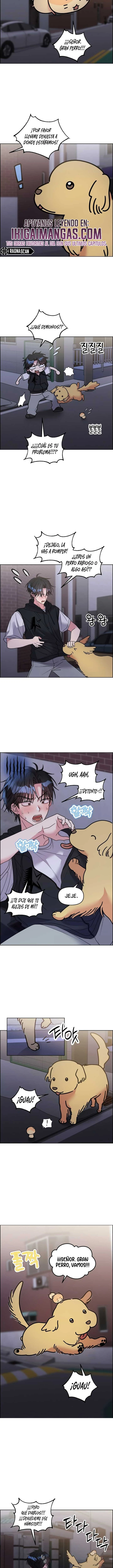 ¡Meow Meow! ¡Squeak Squeak! Capítulo 62 - Page 5