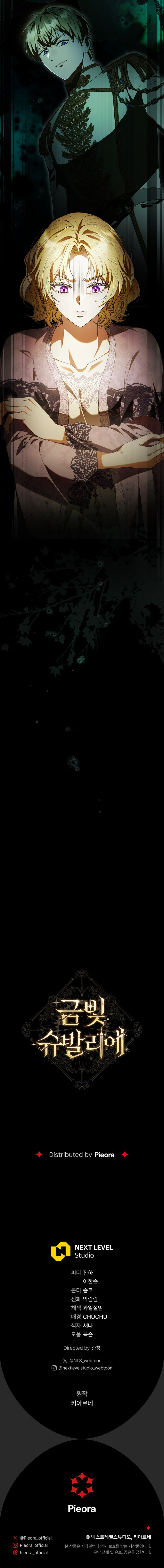 Caballero Dorado Capítulo 36 - Page 13