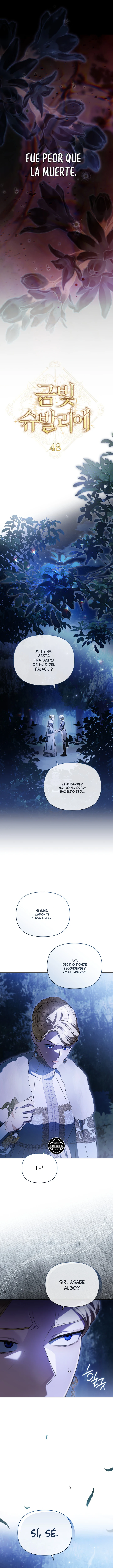 Caballero Dorado Capítulo 48 - Page 14