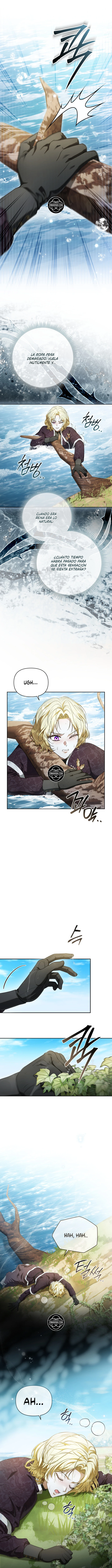 Caballero Dorado Capítulo 51 - Page 8