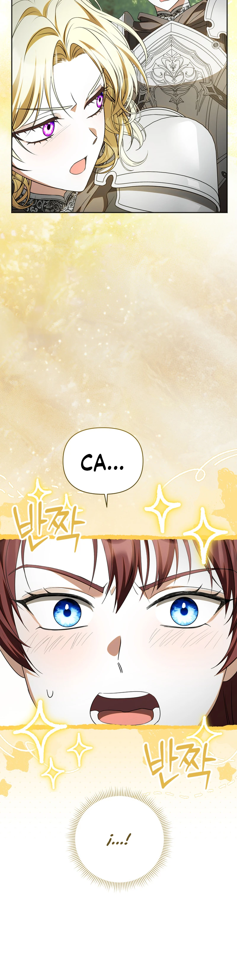 Caballero Dorado Capítulo 54 - Page 13