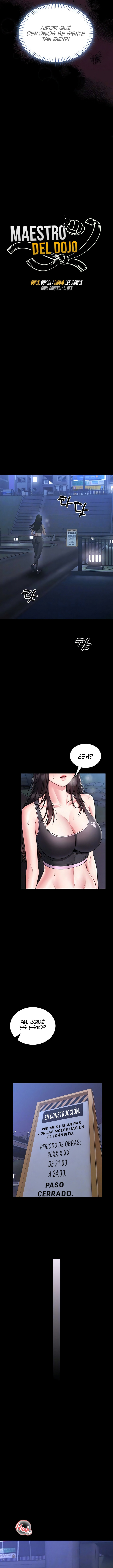 Maestro del Dojo Capítulo 17 - Page 3