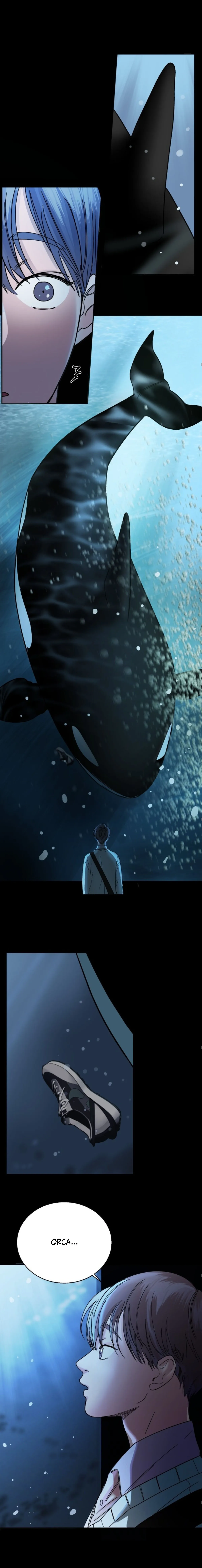 Método de caza de orcas Capítulo 1 - Page 17