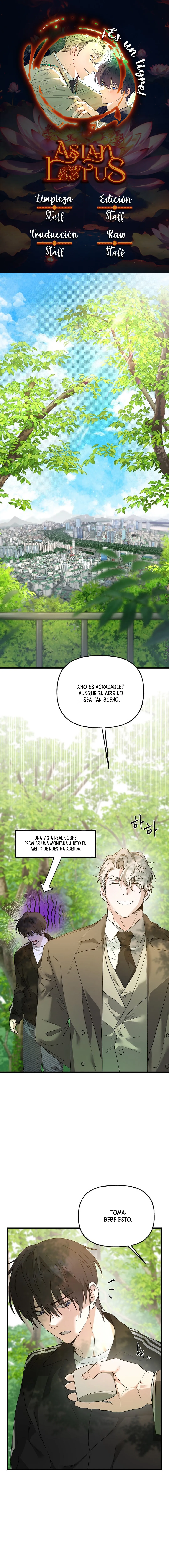 ¡Es un tigre! Capítulo 12 - Page 1