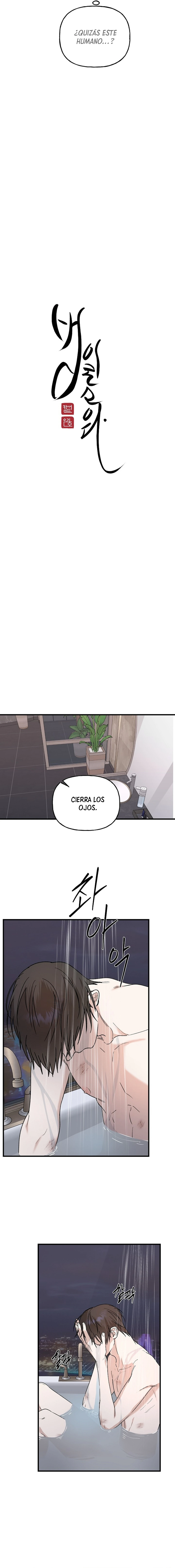 ¡Es un tigre! Capítulo 19 - Page 13