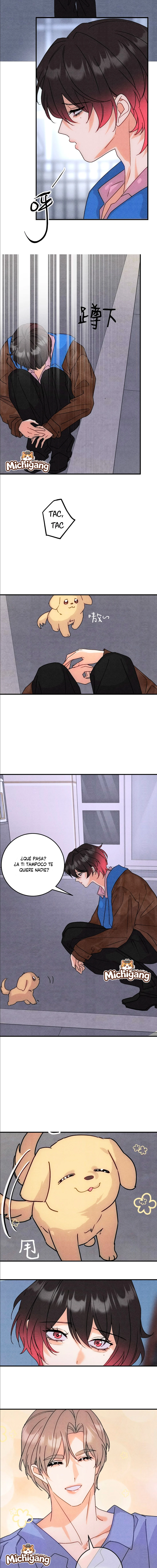 Reencarné en el Gran Ganso Dorado del alfa dominante Capítulo 66 - Page 5