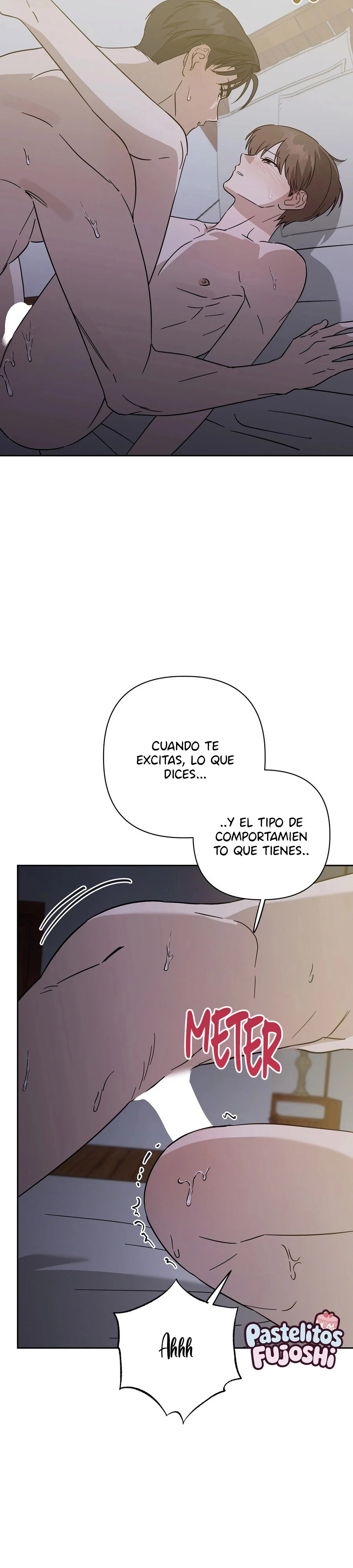 Por fin llega la primavera (omegaverse) Capítulo 42 - Page 11