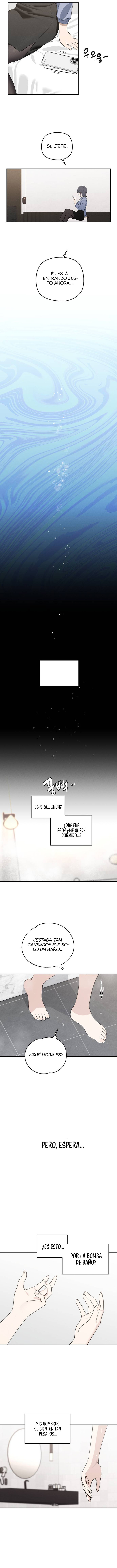 Quien es esa idol Capítulo 1 - Page 17