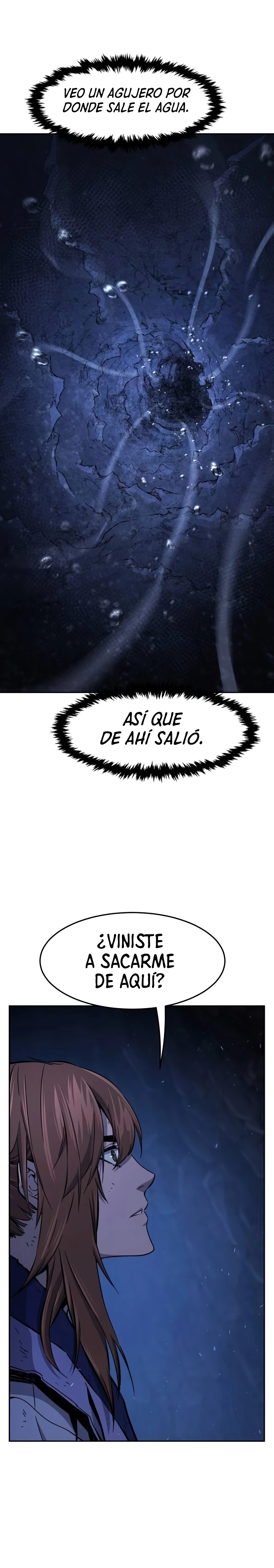 El Sentido Absoluto de las Espadas Capítulo 113 - Page 31
