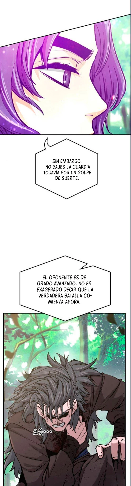 El Sentido Absoluto de las Espadas Capítulo 15 - Page 11