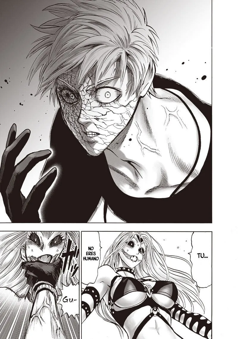 One Punch-Man Capítulo 146.5 - Page 17