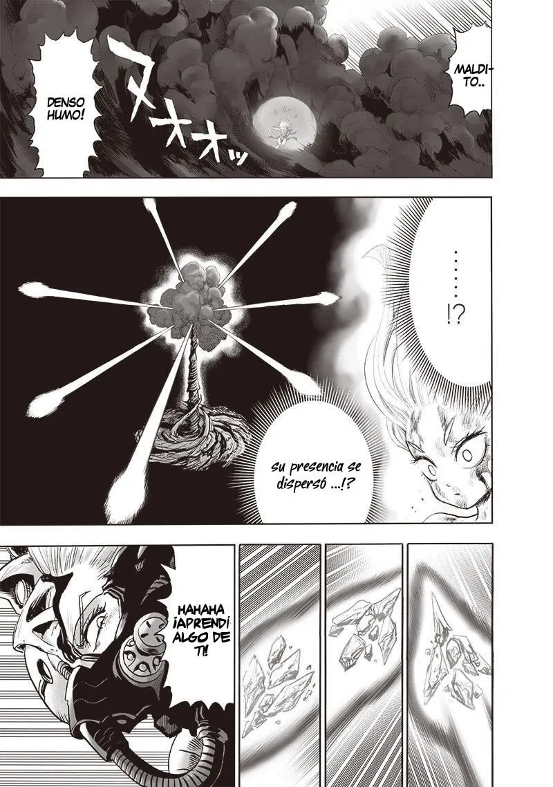One Punch-Man Capítulo 178.5 - Page 8