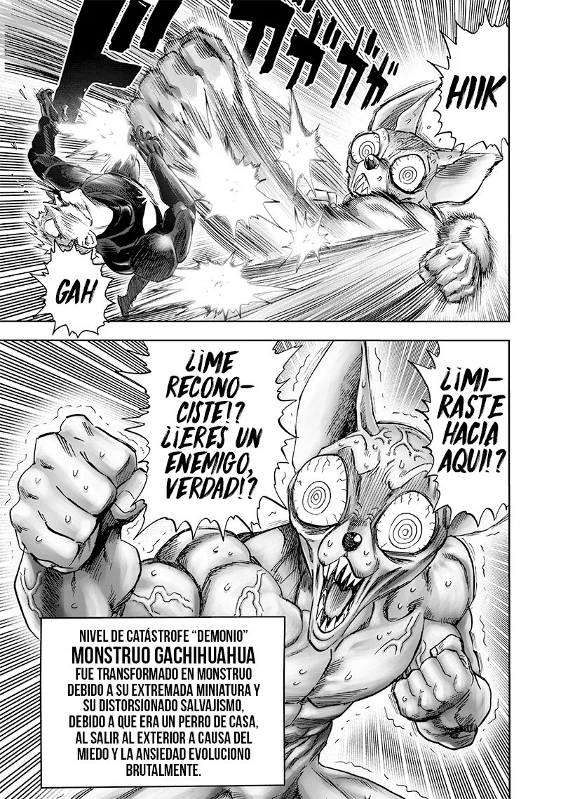 One Punch-Man Capítulo 187.9 - Page 19
