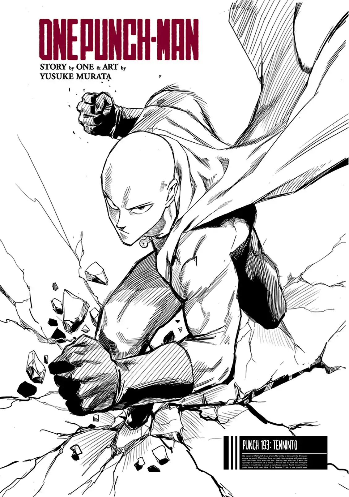 One Punch-Man Capítulo 196.5 - Page 2