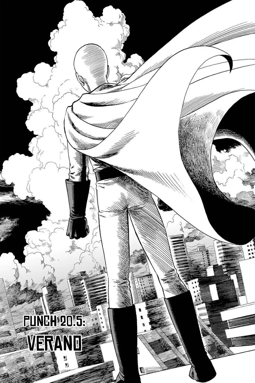 One Punch-Man Capítulo 20.5 - Page 2