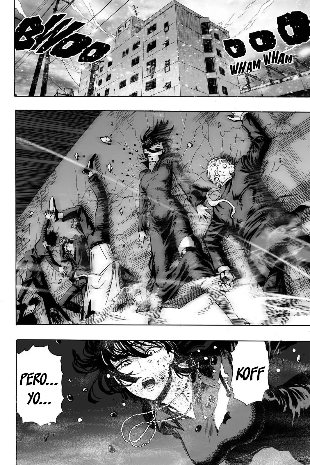 One Punch-Man Capítulo 20.6 - Page 15
