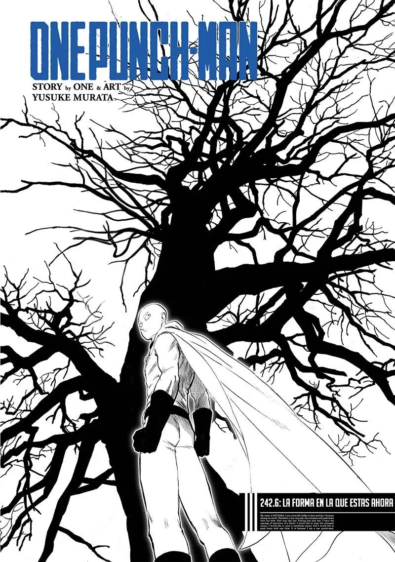 One Punch-Man Capítulo 242.6 - Page 1