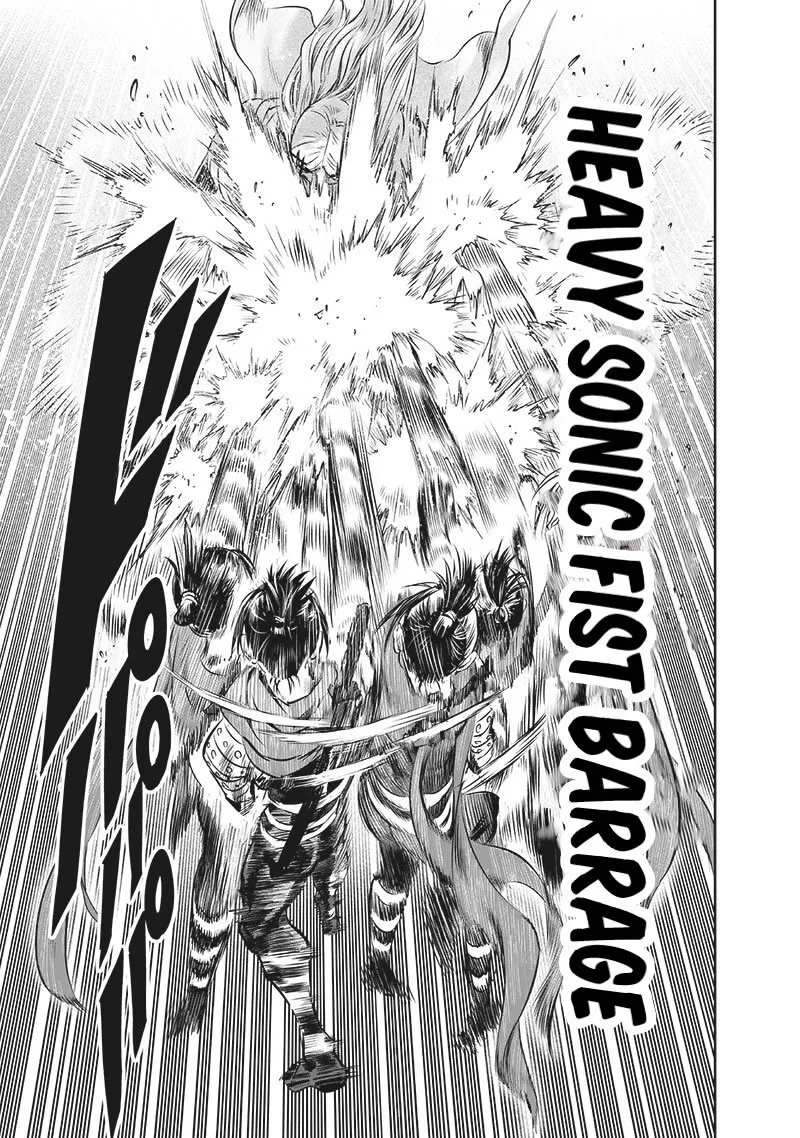 One Punch-Man Capítulo 242.6 - Page 13