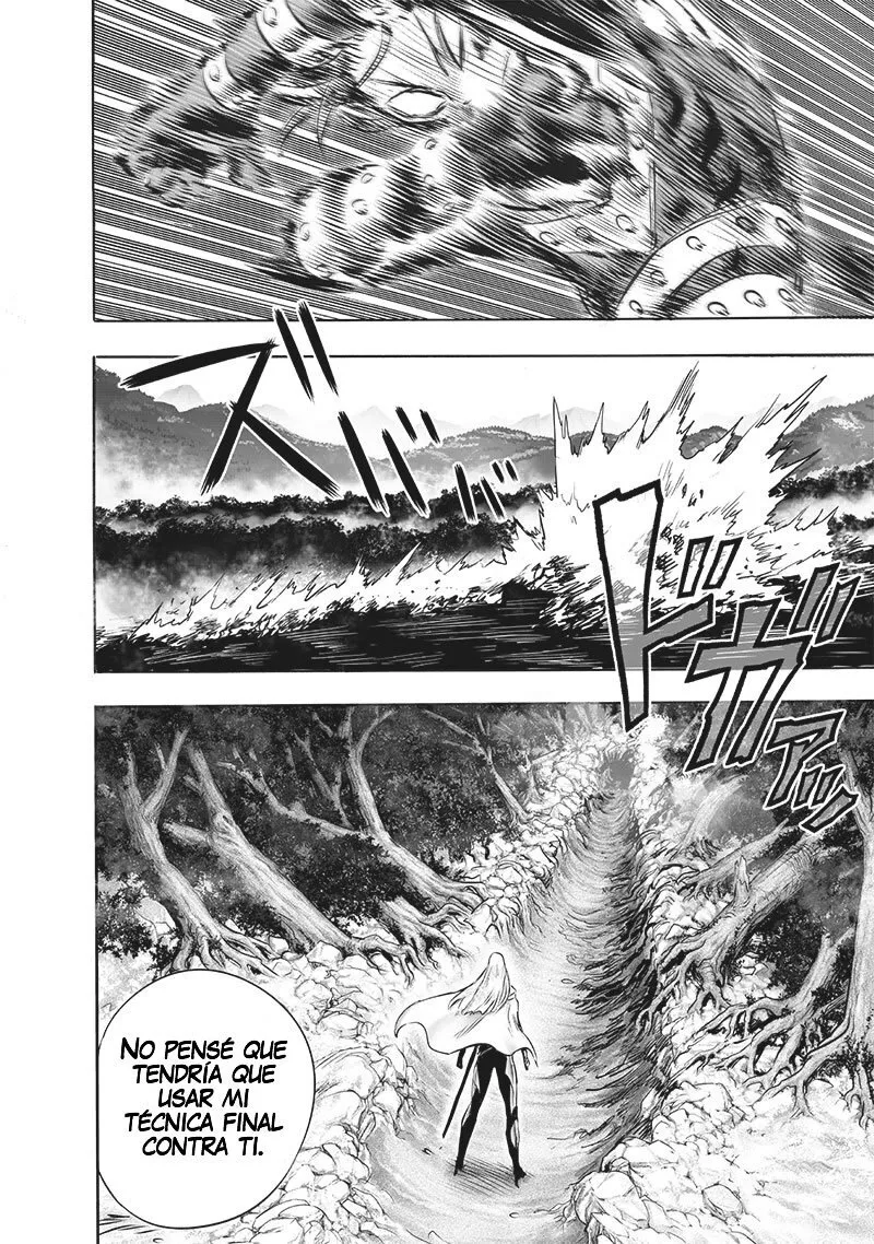 One Punch-Man Capítulo 242.6 - Page 19