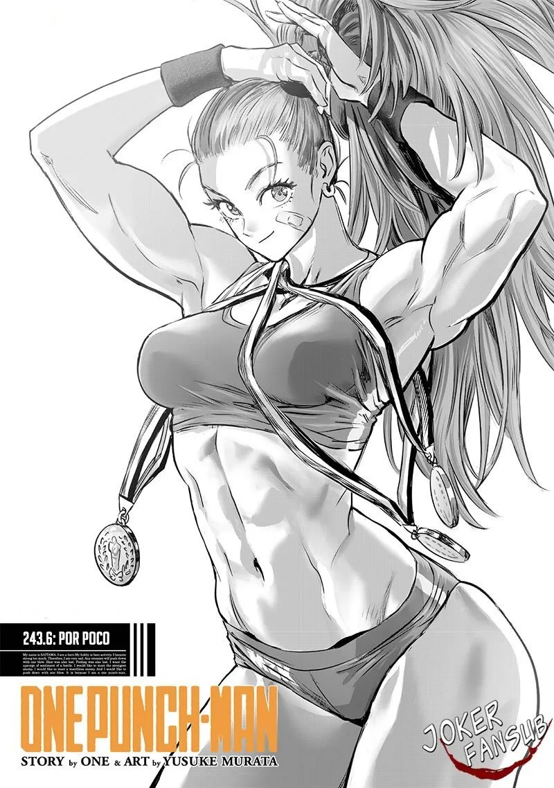 One Punch-Man Capítulo 243.6 - Page 1