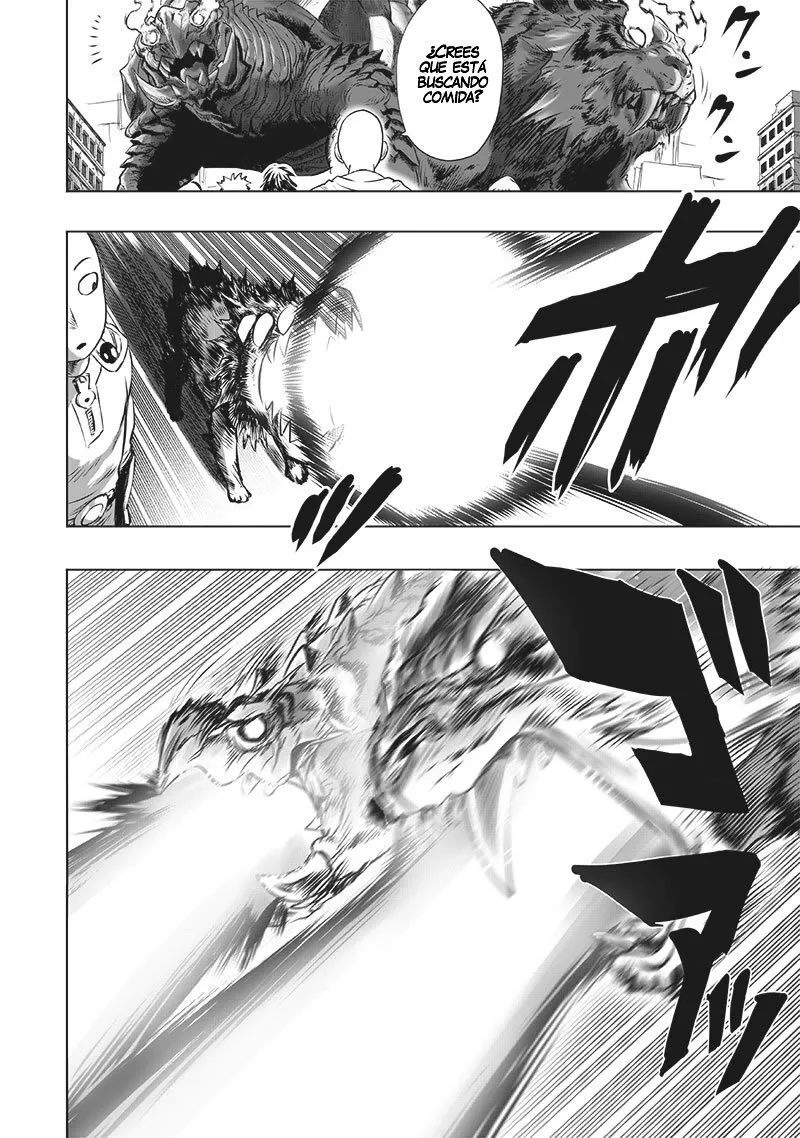 One Punch-Man Capítulo 245.6 - Page 13