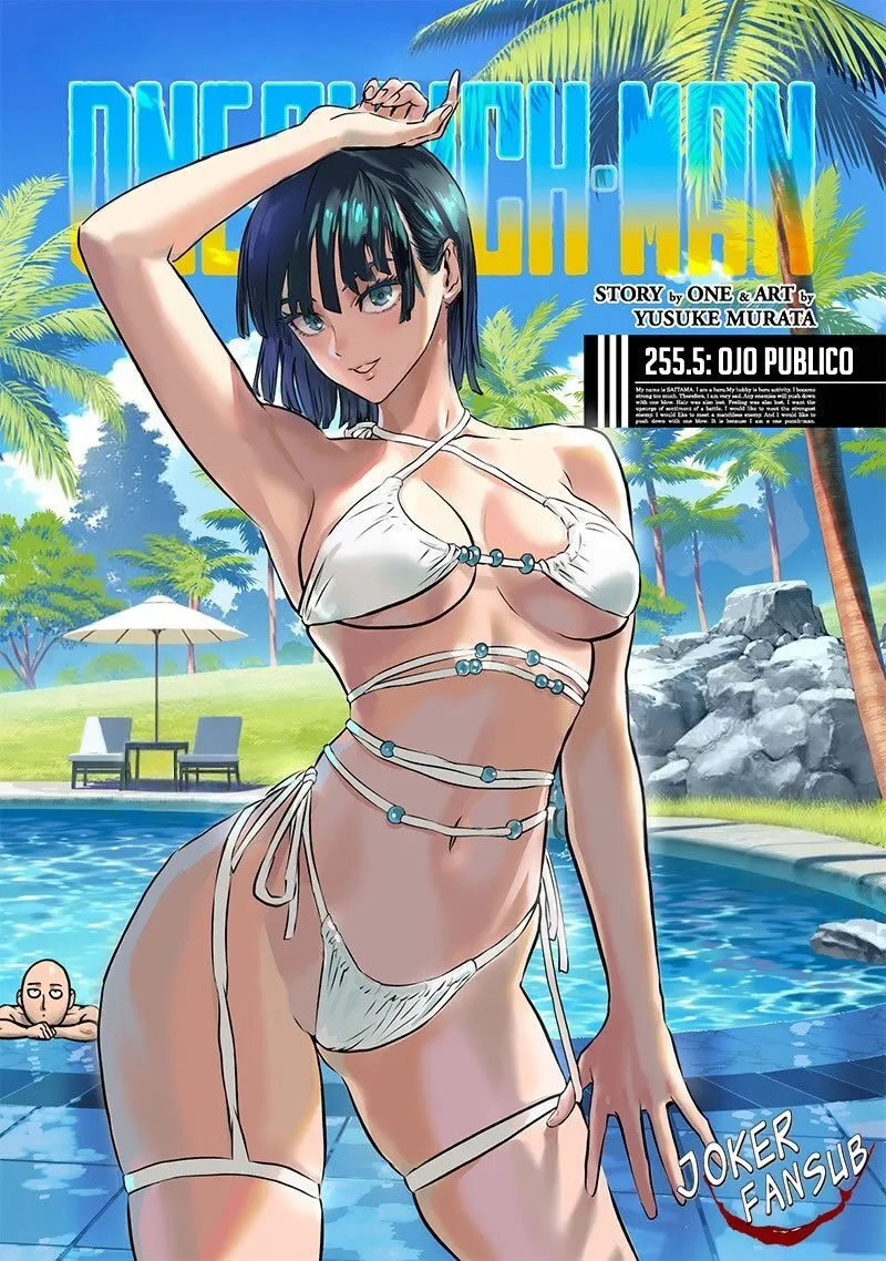 One Punch-Man Capítulo 255.5 - Page 1