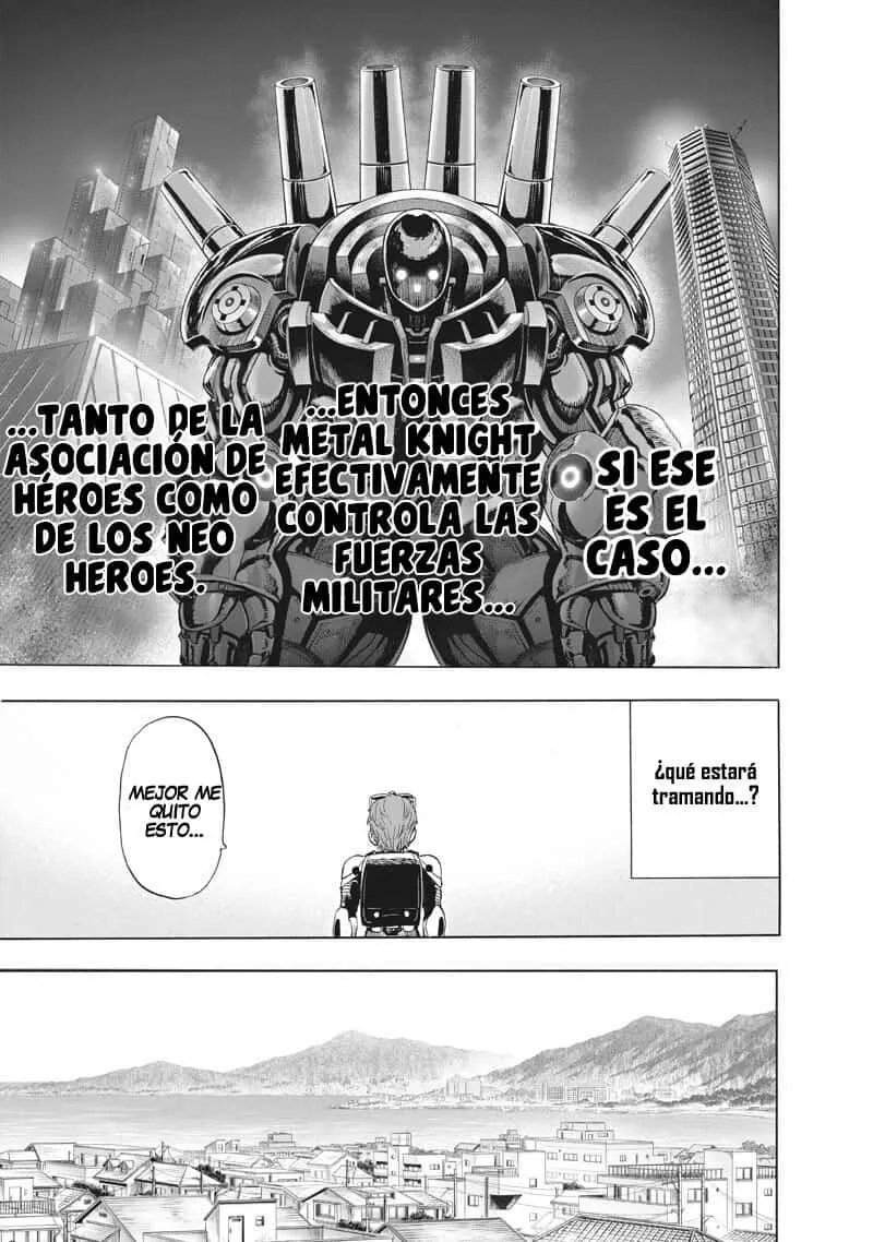 One Punch-Man Capítulo 266.5 - Page 19