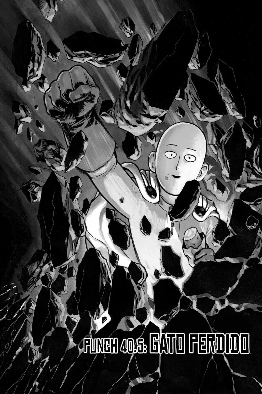 One Punch-Man Capítulo 40.5 - Page 2