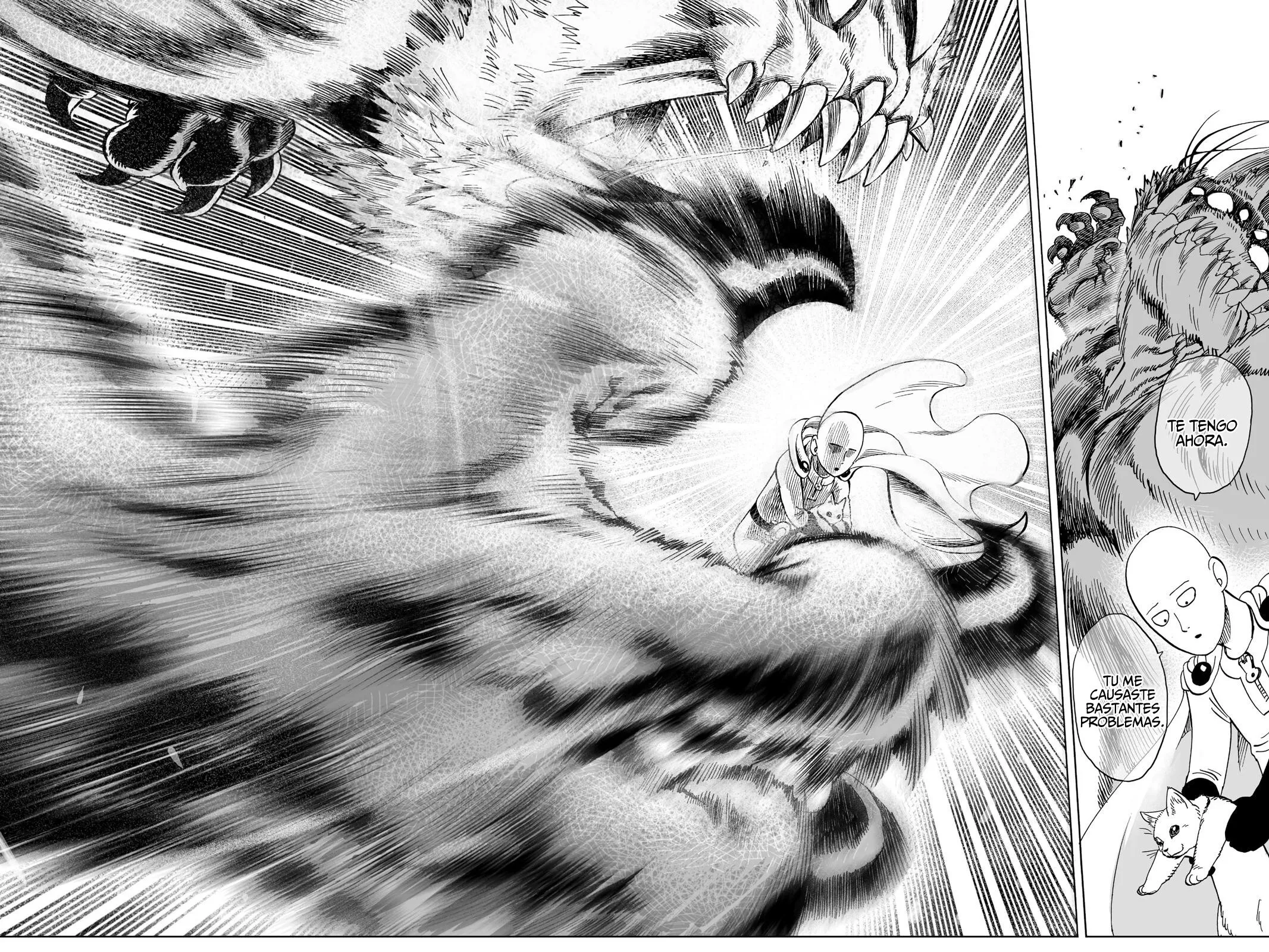 One Punch-Man Capítulo 40.5 - Page 29