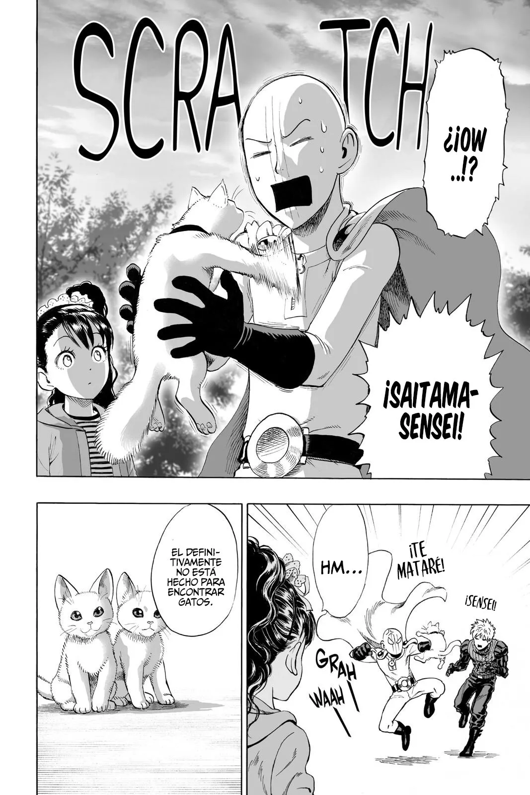 One Punch-Man Capítulo 40.5 - Page 33