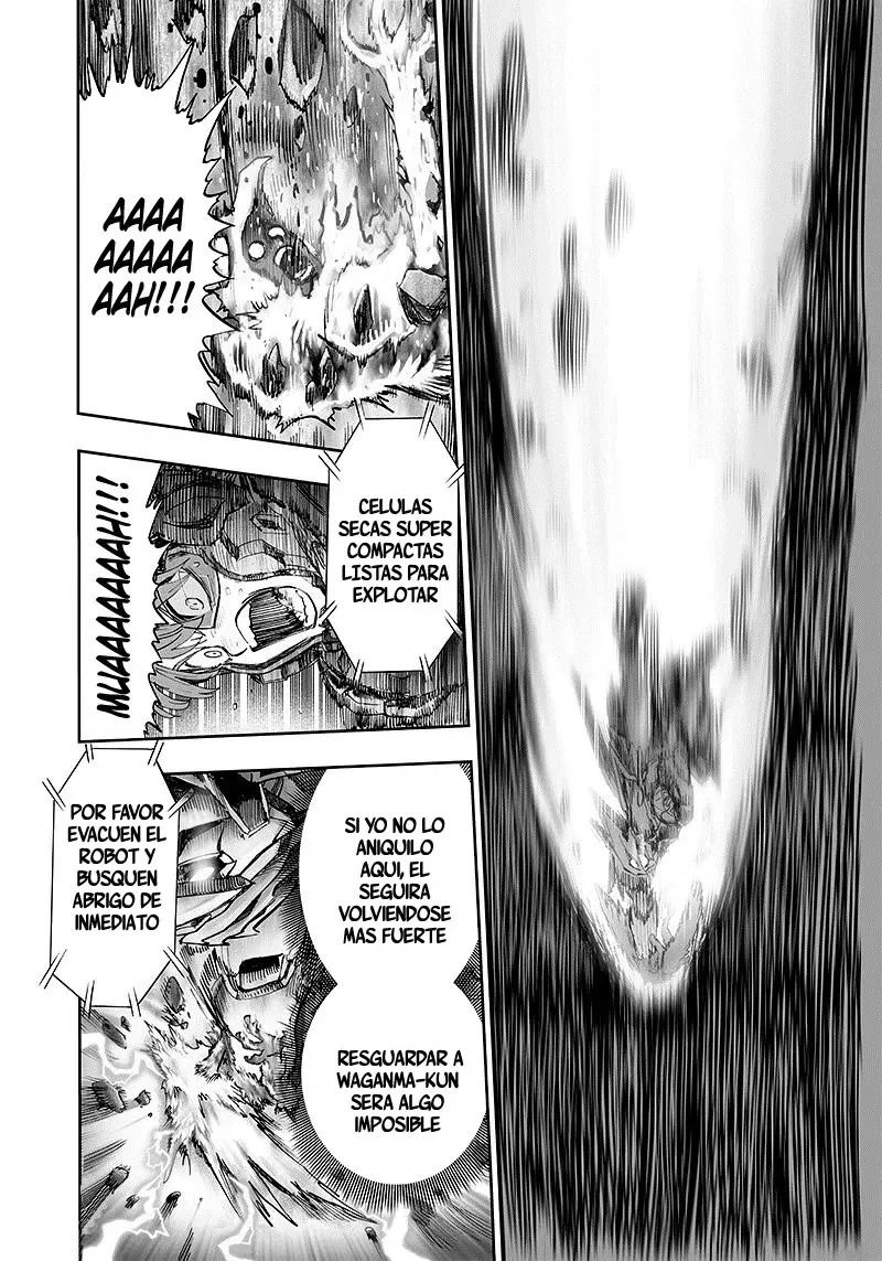 One Punch-Man Capítulo 99.6 - Page 30